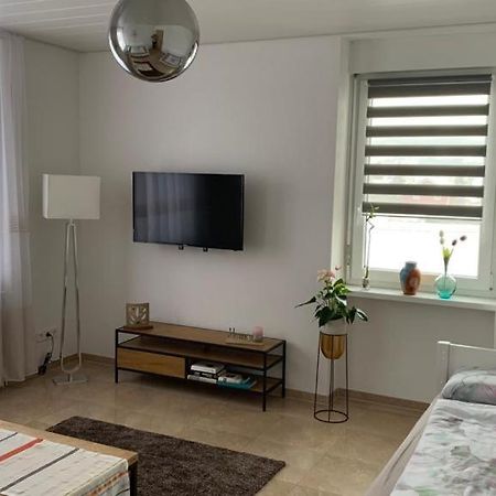 Grenznahe Ferienwohnung Mit 4 Schlafzimmern Grenzach-Wyhlen Buitenkant foto